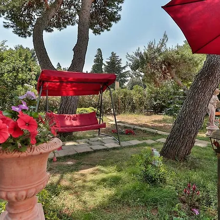 Apartament Dora *